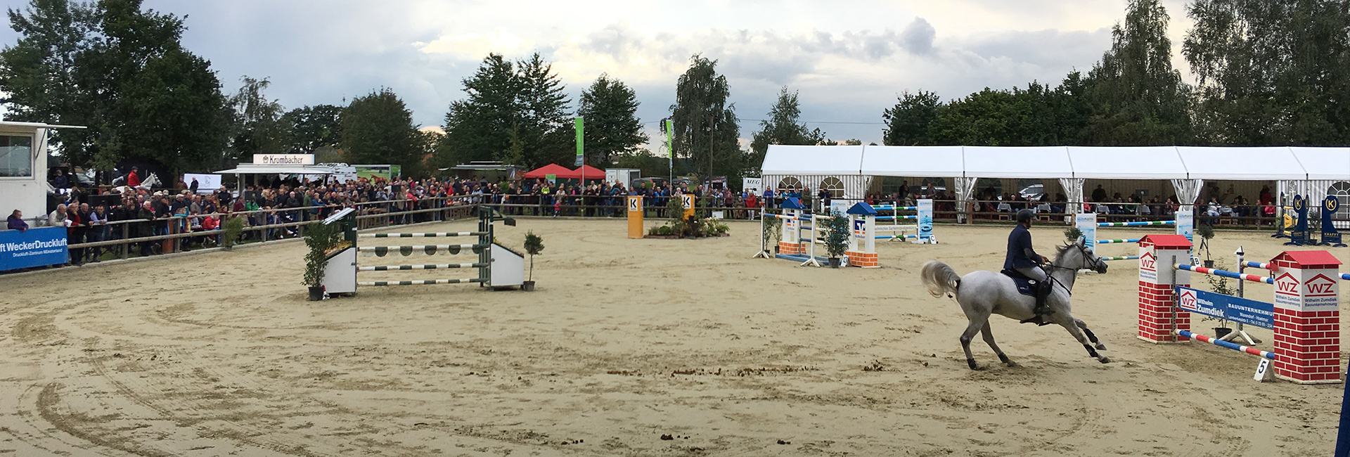 Reitsport