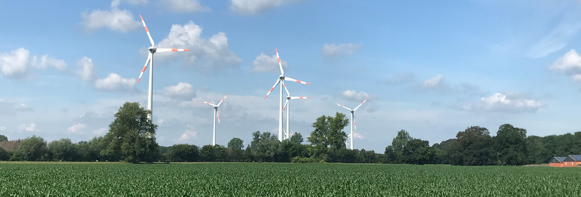 Erneuerbare Energie